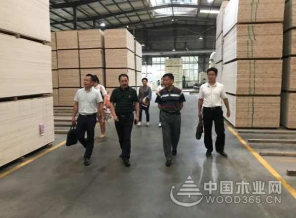 彰显企业责任与担当 壮象扶贫帮困成效显著
