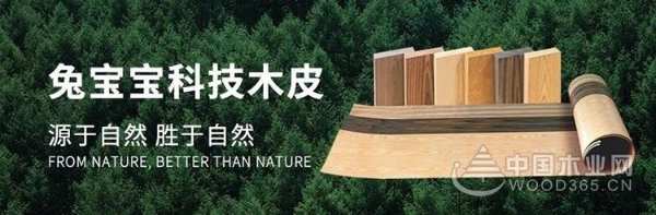 科学取材，科技造家——兔宝宝科技木