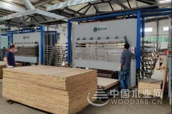 加码品牌建设，福汉木业与中国木业网开启战略合作！