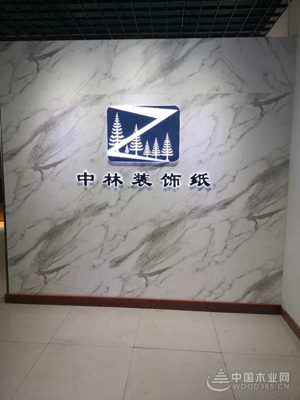 携手共进，中林装饰与香港福林合力打造时尚健康家居！