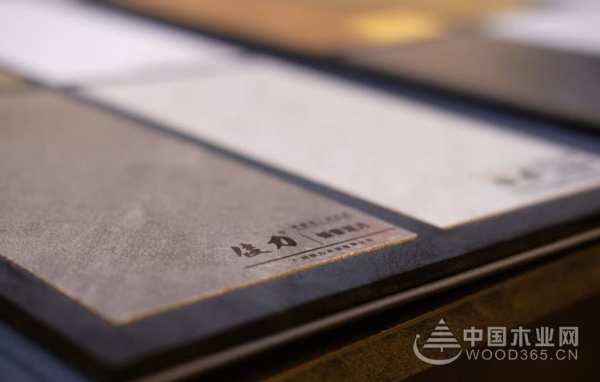 板材+全屋定制，佳力板材给您不一样的！
