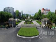 创富秘诀！兔宝宝全屋定制2020线上财富峰会邀你共创未来