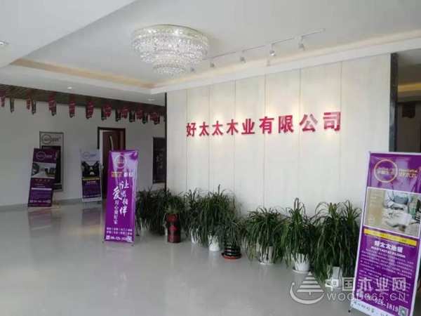 中国品牌日：好太太板材铸造美好生活