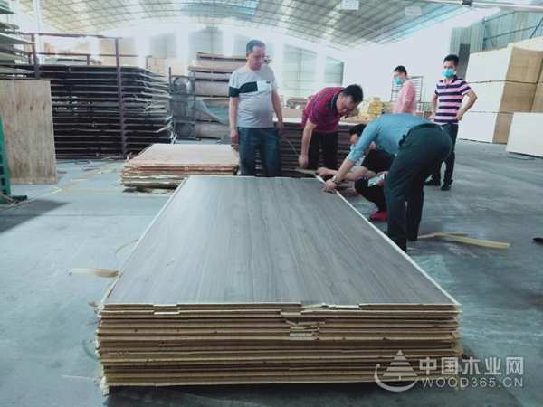 鹏森缘与品匠装饰强强联合，携手打造家装新时尚！