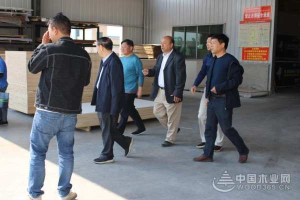 湖南省新宁县县长一行莅临红崀山调研考察