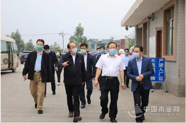 广西自治区党委常委、常务副主席到壮象调研香杉产业发展情况