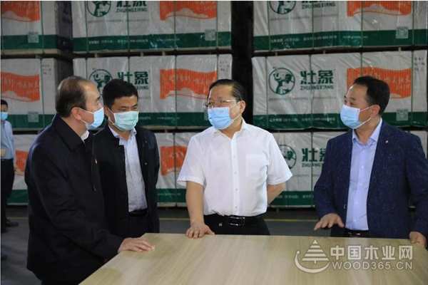 广西自治区党委常委、常务副主席到壮象调研香杉产业发展情况