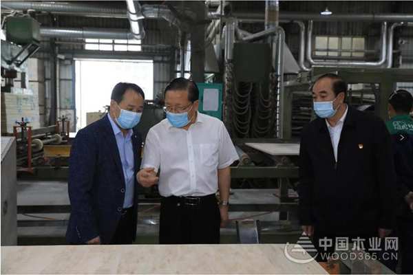 广西自治区党委常委、常务副主席到壮象调研香杉产业发展情况