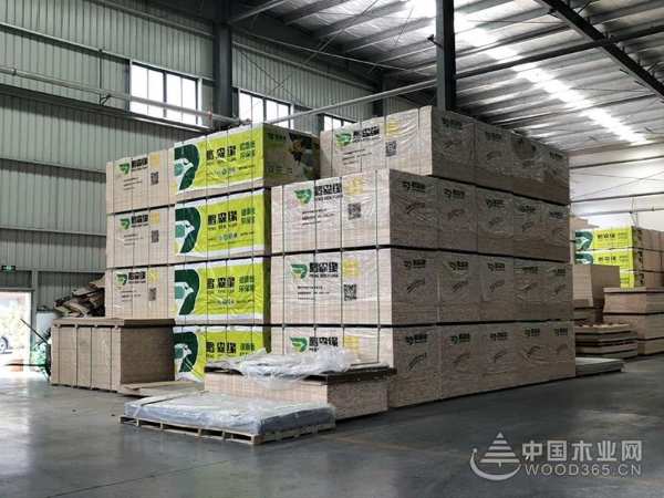 同心并力，共创双赢，鹏森缘宜昌运营中心续签合作协议圆满成功