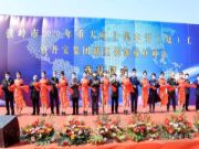 聚力发展 丹宝集团尼尔科达刨花板项目奠基