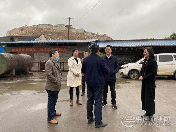 柳州市委常委王永超一行到“鹏森缘”走访调研