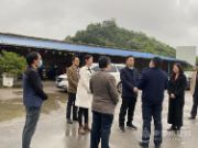 柳州市委常委王永超一行到“鹏森缘”走访调研