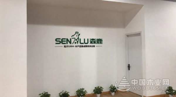 官宣 | 品木森鹿搬家啦