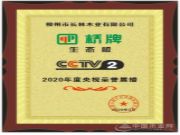 品牌再发力 广西桥牌强势登陆央视！
