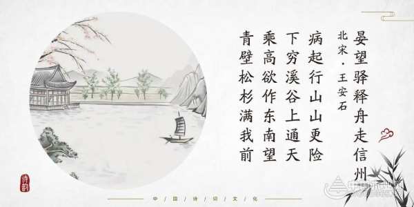 穿越千年的香杉