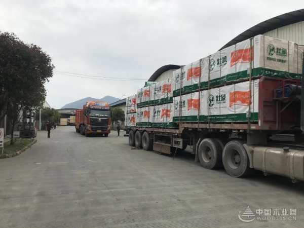 壮象香杉生态板在疫情期间深受欢迎