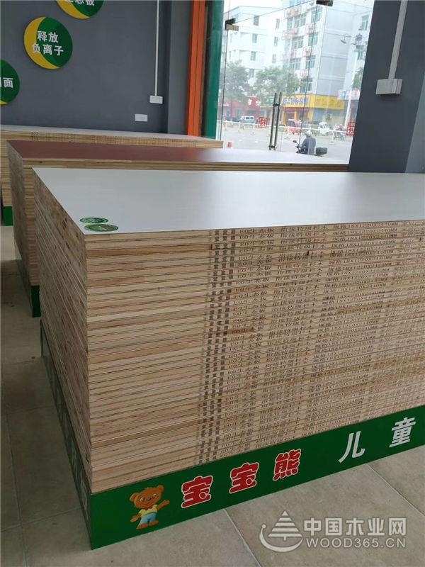 迎新春“庆余年” 宝宝熊开启新的征程