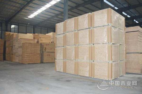 携手共进 清水江板材与中国木业网同创未来