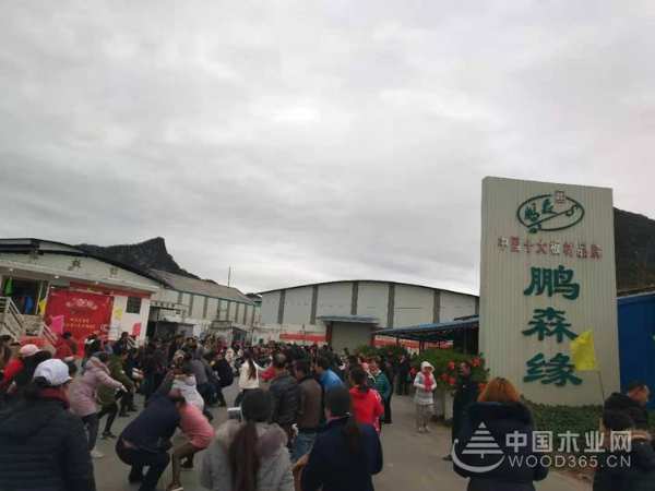 辞旧迎新日,万象更新时——鹏森缘集团·2019-2020年度优秀员工表彰大会暨2020年迎春年会隆重召开