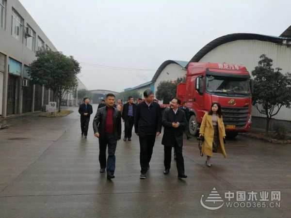 广西自治区副主席费志荣到壮象集团调研