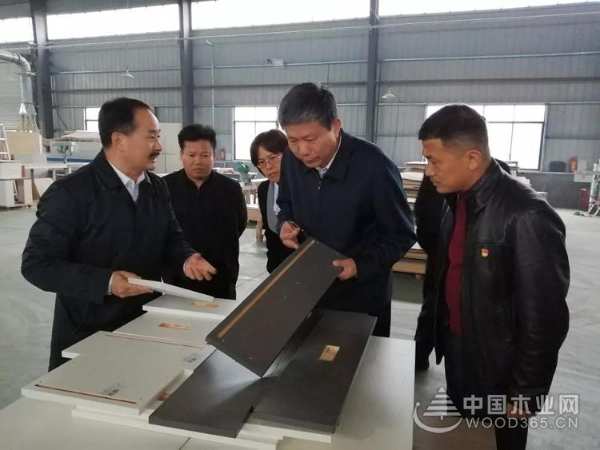 广西自治区副主席费志荣到壮象集团调研