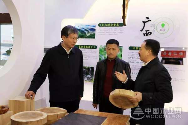 广西自治区副主席费志荣到壮象集团调研