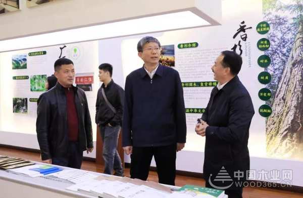 广西自治区副主席费志荣到壮象集团调研