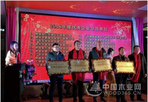 收获满满 扬帆再起航-鹏森缘2019年终总结