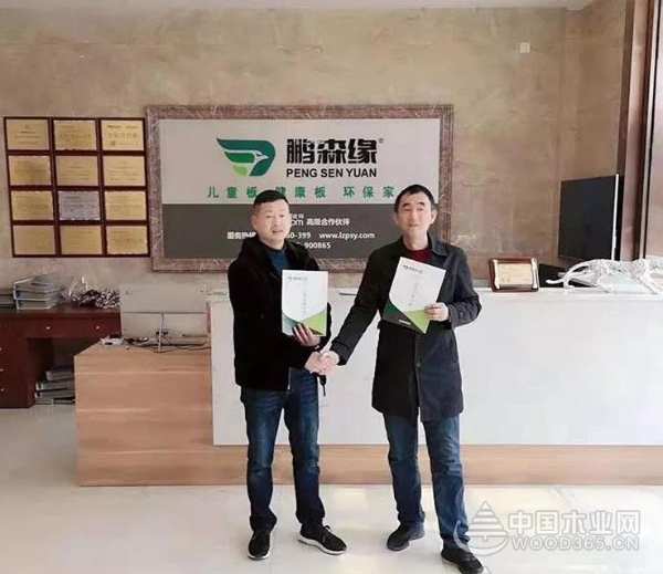 收获满满 扬帆再起航-鹏森缘2019年终总结