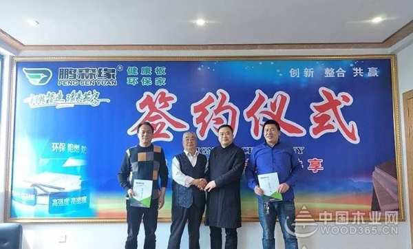 收获满满 扬帆再起航-鹏森缘2019年终总结