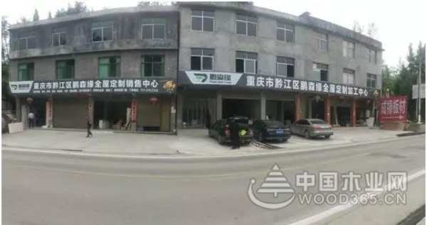 收获满满 扬帆再起航-鹏森缘2019年终总结