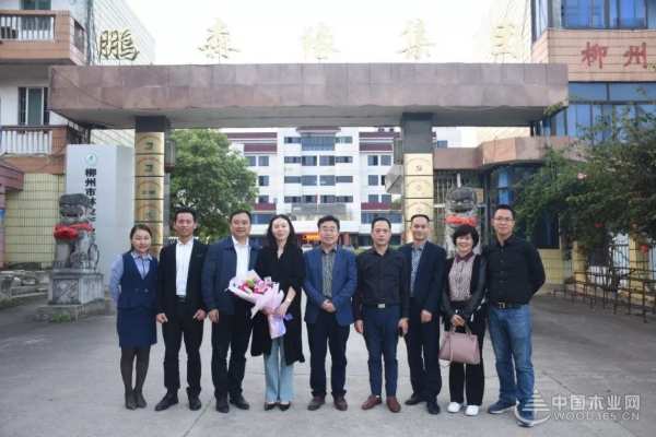 收获满满 扬帆再起航-鹏森缘2019年终总结