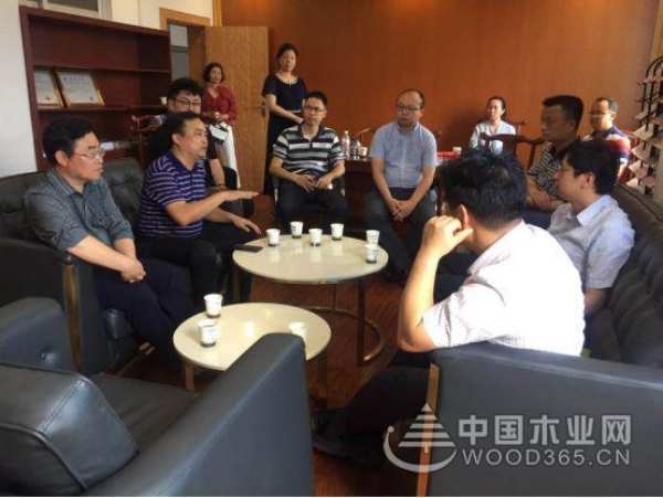 收获满满 扬帆再起航-鹏森缘2019年终总结