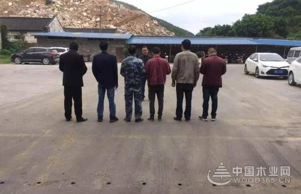 收获满满 扬帆再起航-鹏森缘2019年终总结