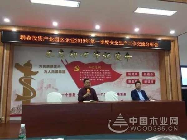 收获满满 扬帆再起航-鹏森缘2019年终总结