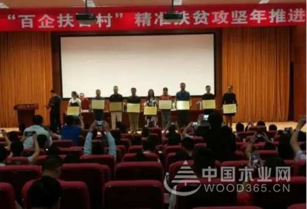 收获满满 扬帆再起航-鹏森缘2019年终总结