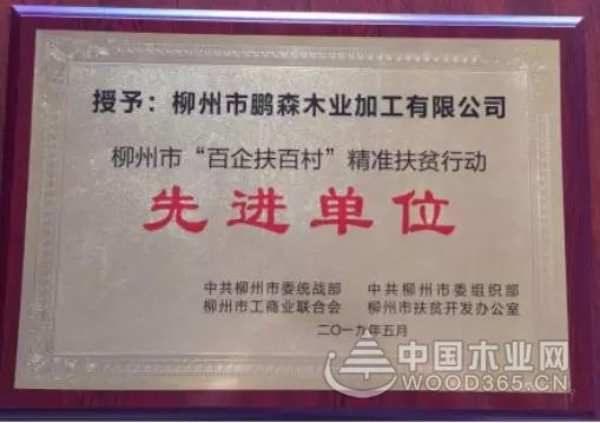 收获满满 扬帆再起航-鹏森缘2019年终总结