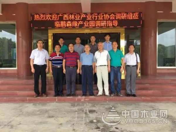 收获满满 扬帆再起航-鹏森缘2019年终总结