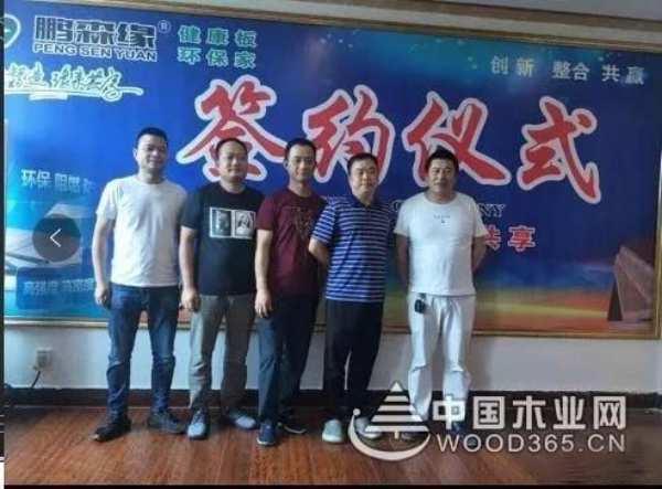 收获满满 扬帆再起航-鹏森缘2019年终总结