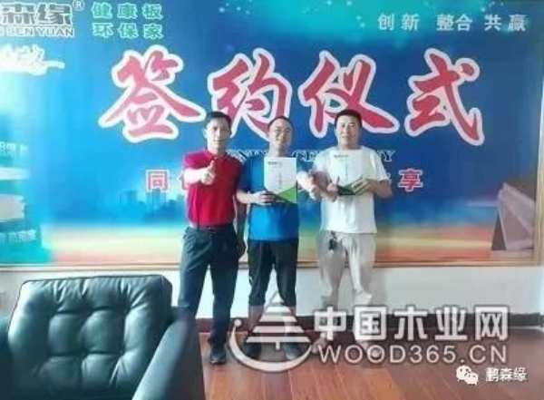 收获满满 扬帆再起航-鹏森缘2019年终总结