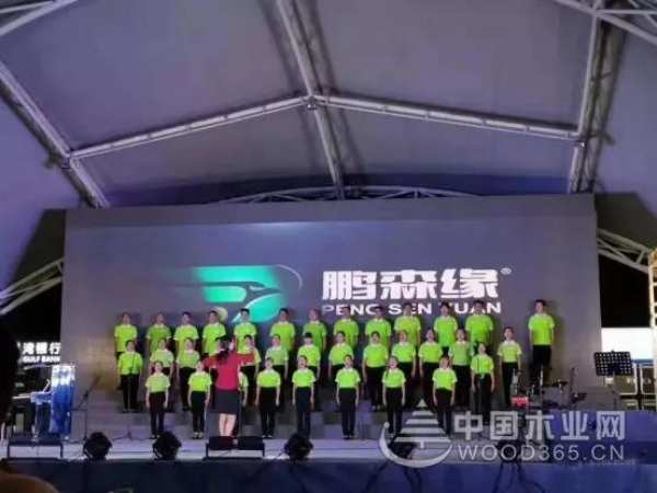 收获满满 扬帆再起航-鹏森缘2019年终总结