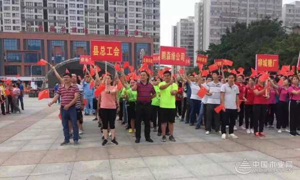 收获满满 扬帆再起航-鹏森缘2019年终总结