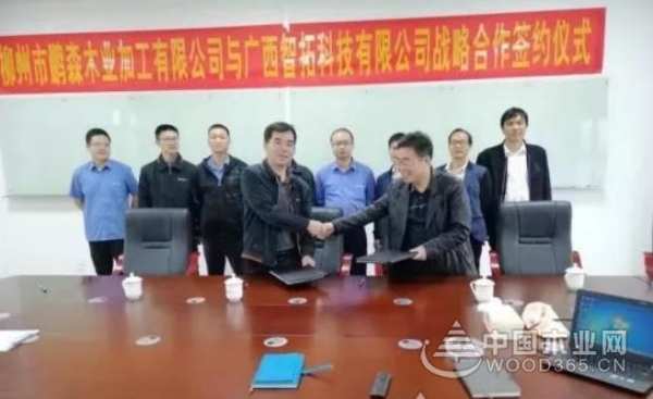 收获满满 扬帆再起航-鹏森缘2019年终总结