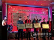 收获满满 扬帆再起航-鹏森缘2019年终总结