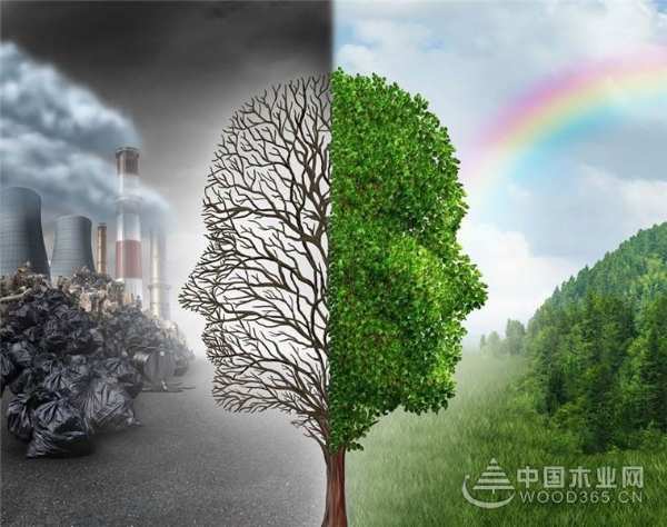 船老大板材，健康中国家庭