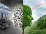 船老大板材，健康中国家庭
