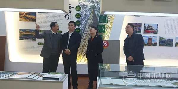 自治区林业局副局长到壮象调研