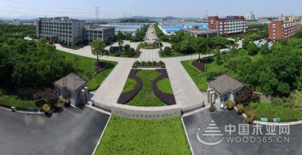 2020兔宝宝年会预告，精彩展现！
