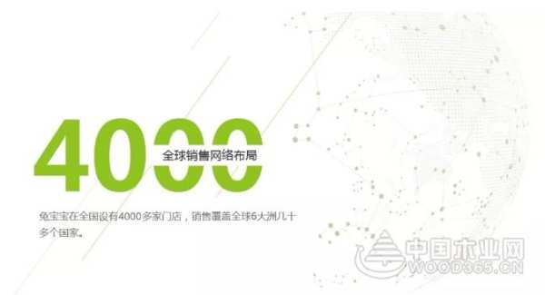 2019年，兔宝宝在行动