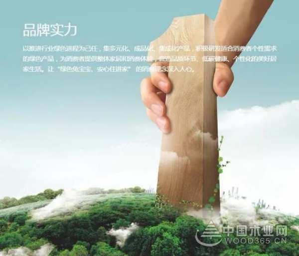 2019年，兔宝宝在行动